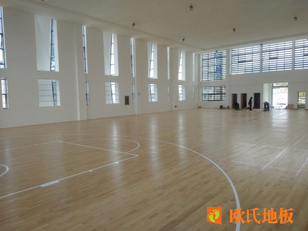 运动木地板面板和结构